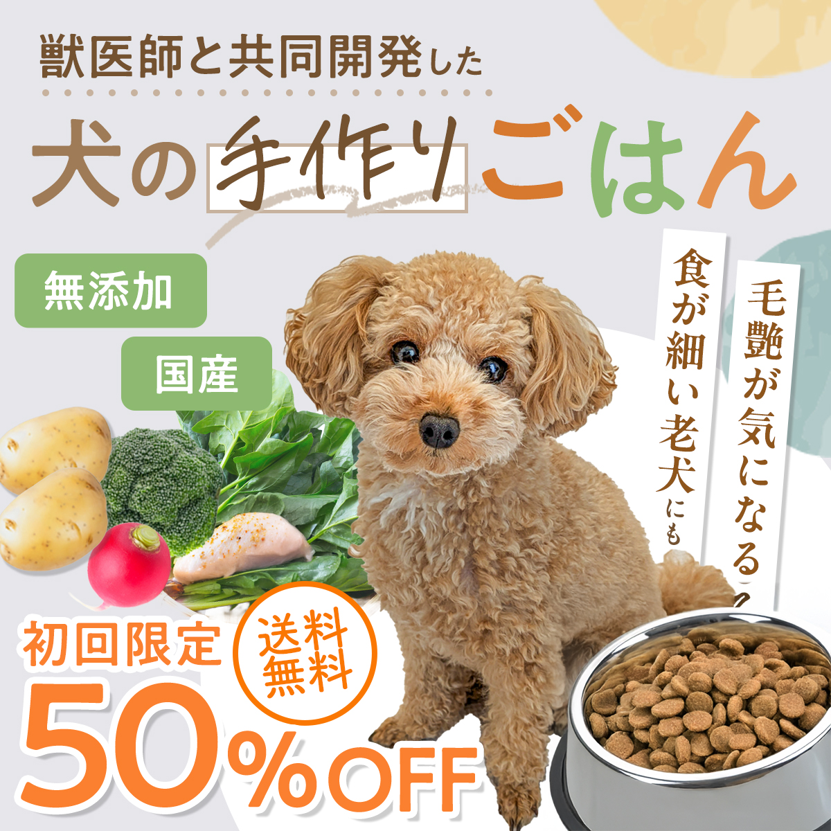 ドッグフードバナー